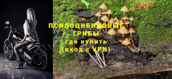 прущая мука Абаза