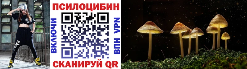 как найти наркотики  Жуковский  Псилоцибиновые грибы MAGIC MUSHROOMS 