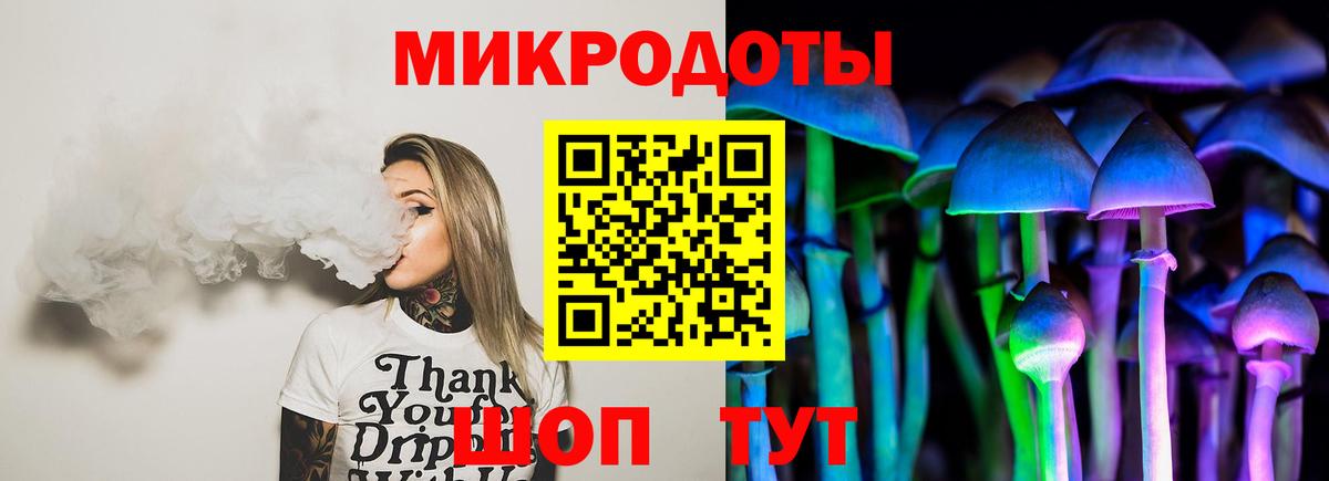 Галлюциногенные грибы Psilocybe Жуковский